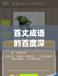 首丈成語(yǔ)的百度深度探索之旅