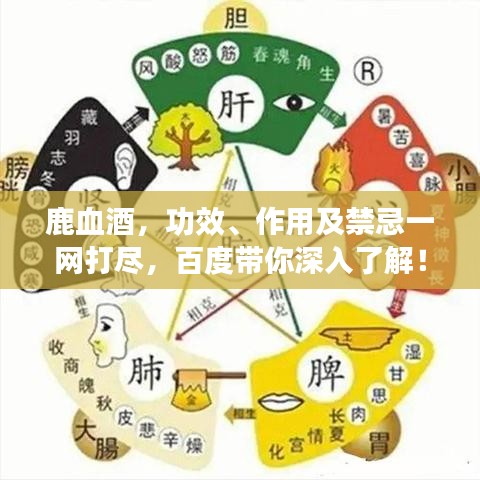 鹿血酒，功效、作用及禁忌一網(wǎng)打盡，百度帶你深入了解！