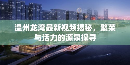 溫州龍灣最新視頻揭秘，繁榮與活力的源泉探尋