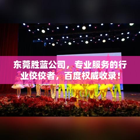 東莞勝藍公司，專業(yè)服務(wù)的行業(yè)佼佼者，百度權(quán)威收錄！