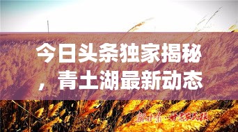 今日頭條獨(dú)家揭秘，青土湖最新動態(tài)快報(bào)