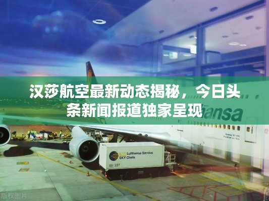 漢莎航空最新動態(tài)揭秘，今日頭條新聞報道獨家呈現(xiàn)
