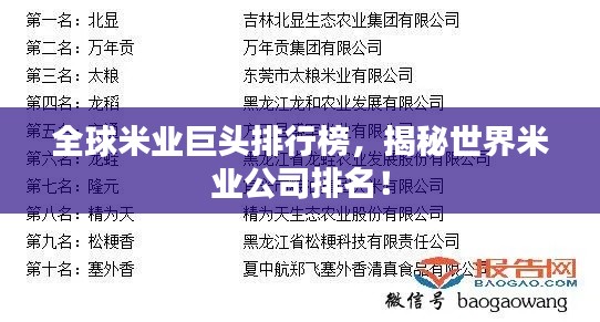 全球米業(yè)巨頭排行榜，揭秘世界米業(yè)公司排名！