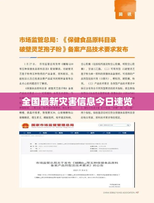 全國最新災害信息今日速覽