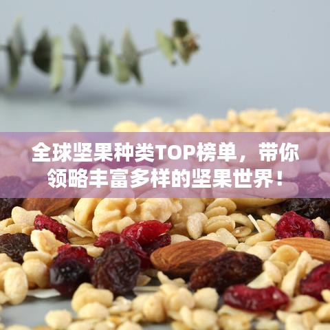 全球堅果種類TOP榜單，帶你領略豐富多樣的堅果世界！