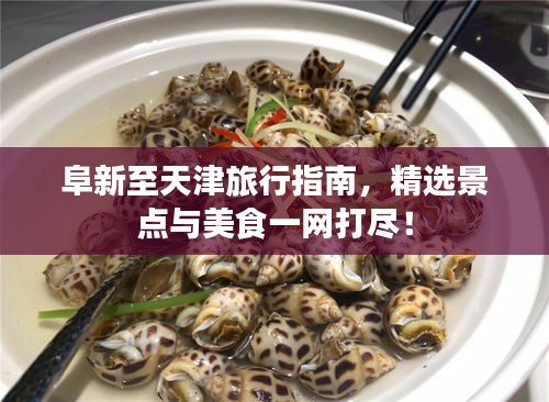 阜新至天津旅行指南，精選景點(diǎn)與美食一網(wǎng)打盡！