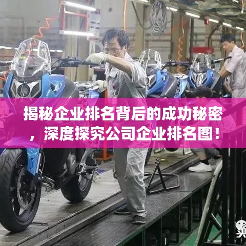 揭秘企業(yè)排名背后的成功秘密，深度探究公司企業(yè)排名圖！