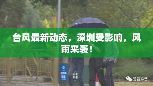 臺風(fēng)最新動態(tài)，深圳受影響，風(fēng)雨來襲！