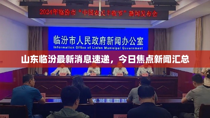 山東臨汾最新消息速遞，今日焦點(diǎn)新聞匯總