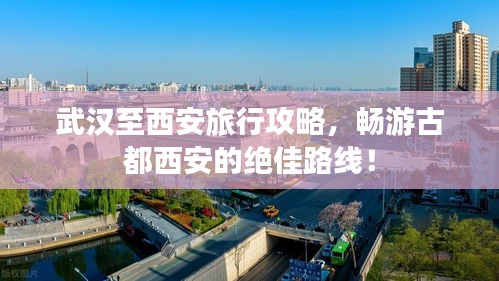 雙瞳剪水 第3頁(yè)