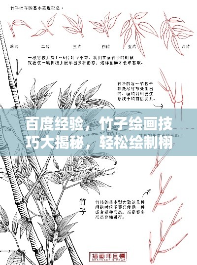 百度經(jīng)驗(yàn)，竹子繪畫技巧大揭秘，輕松繪制栩栩如生竹葉圖