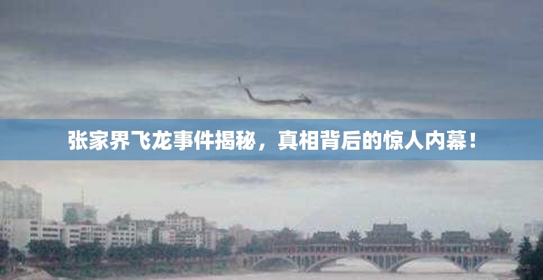 張家界飛龍事件揭秘，真相背后的驚人內(nèi)幕！