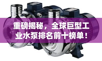 重磅揭秘，全球巨型工業(yè)水泵排名前十榜單！