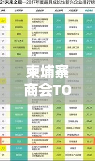 柬埔寨商會(huì)TOP10榜單揭曉，揭秘排名前十的商會(huì)！