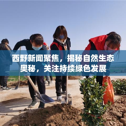 青鳥殷勤 第3頁