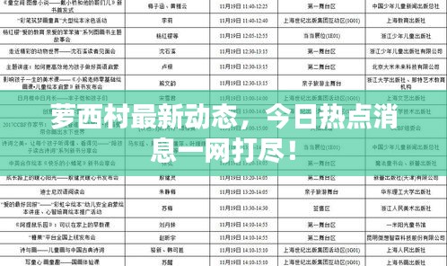 蘿西村最新動態(tài)，今日熱點消息一網(wǎng)打盡！