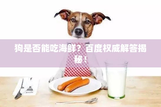狗是否能吃海鮮？百度權(quán)威解答揭秘！