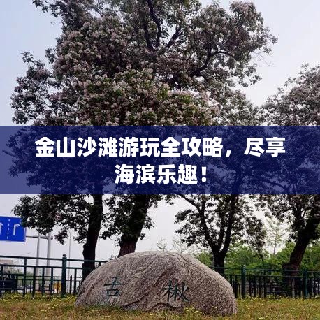 金山沙灘游玩全攻略，盡享海濱樂趣！