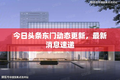 今日頭條東門動(dòng)態(tài)更新，最新消息速遞