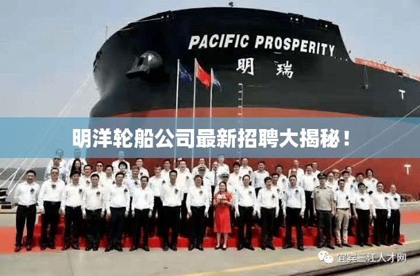明洋輪船公司最新招聘大揭秘！