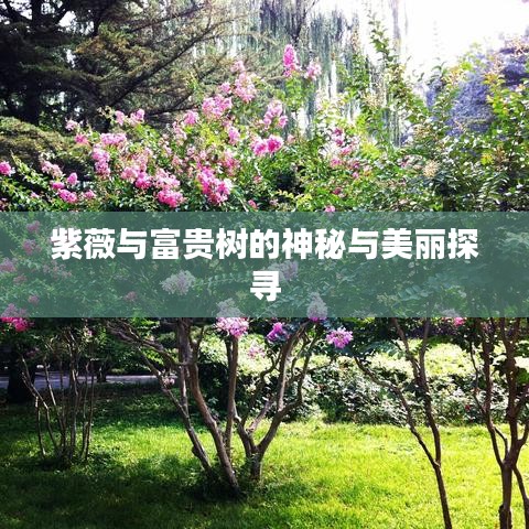 紫薇與富貴樹的神秘與美麗探尋