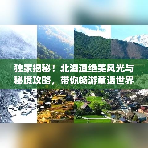 獨家揭秘！北海道絕美風光與秘境攻略，帶你暢游童話世界之旅！
