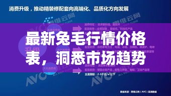 最新兔毛行情價格表，洞悉市場趨勢，把握行業(yè)脈動