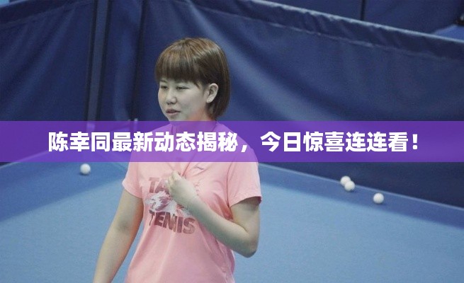 陳幸同最新動態(tài)揭秘，今日驚喜連連看！