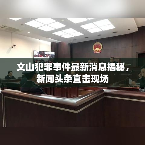 文山犯罪事件最新消息揭秘，新聞頭條直擊現(xiàn)場