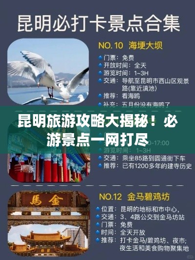 昆明旅游攻略大揭秘！必游景點(diǎn)一網(wǎng)打盡