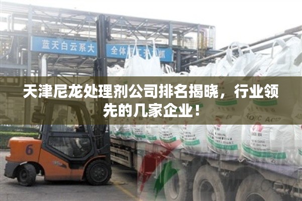 天津尼龍?zhí)幚韯┕九琶視裕袠I(yè)領(lǐng)先的幾家企業(yè)！