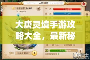 大唐靈境手游攻略大全，最新秘籍揭秘！