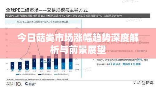 今日菇類市場漲幅趨勢深度解析與前景展望