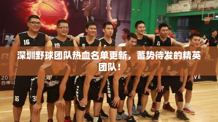 深圳野球團隊熱血名單更新，蓄勢待發(fā)的精英團隊！