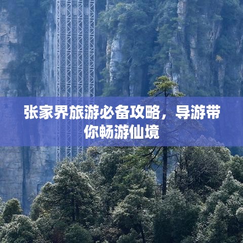 張家界旅游必備攻略，導(dǎo)游帶你暢游仙境