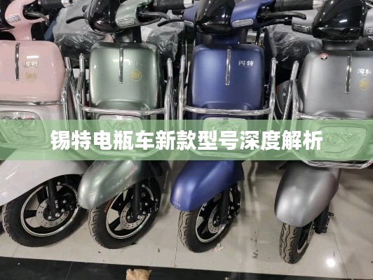 錫特電瓶車(chē)新款型號(hào)深度解析