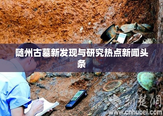 隨州古墓新發(fā)現(xiàn)與研究熱點(diǎn)新聞?lì)^條