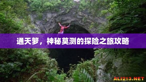 通天籮，神秘莫測(cè)的探險(xiǎn)之旅攻略