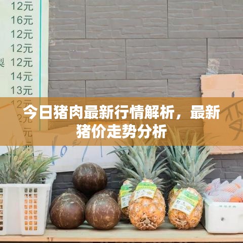 今日豬肉最新行情解析，最新豬價走勢分析
