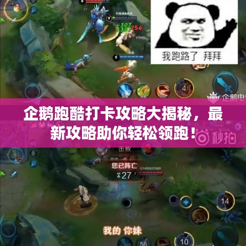 企鵝跑酷打卡攻略大揭秘，最新攻略助你輕松領跑！