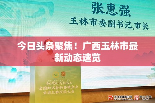 今日頭條聚焦！廣西玉林市最新動(dòng)態(tài)速覽