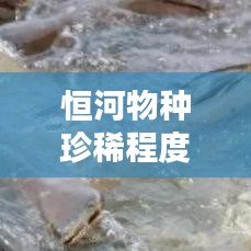 恒河物種珍稀程度排名TOP10榜單揭曉！