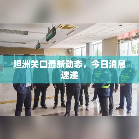 坦洲關口最新動態(tài)，今日消息速遞