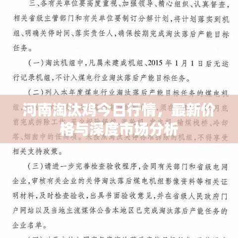 河南淘汰雞今日行情，最新價格與深度市場分析