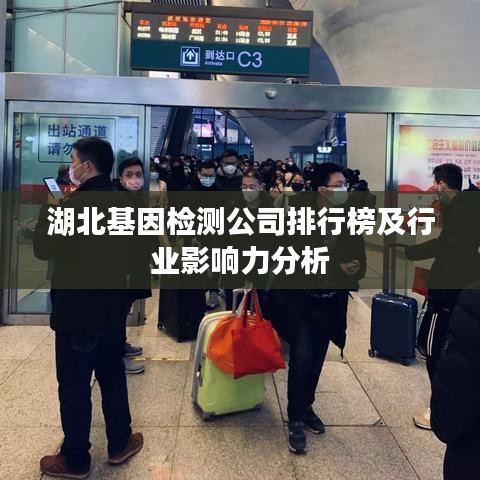 湖北基因檢測公司排行榜及行業(yè)影響力分析