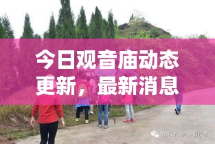 今日觀音廟動態(tài)更新，最新消息一覽