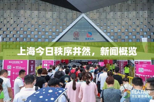 上海今日秩序井然，新聞概覽