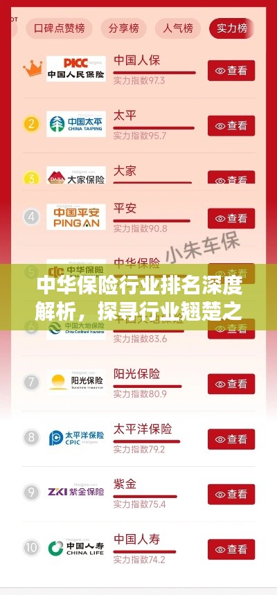 中華保險(xiǎn)行業(yè)排名深度解析，探尋行業(yè)翹楚之路
