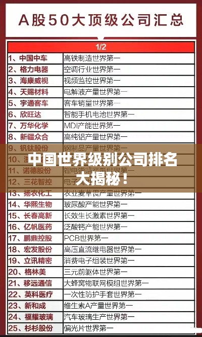 中國(guó)世界級(jí)別公司排名大揭秘！