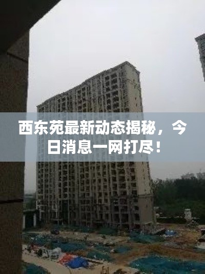 西東苑最新動態(tài)揭秘，今日消息一網(wǎng)打盡！